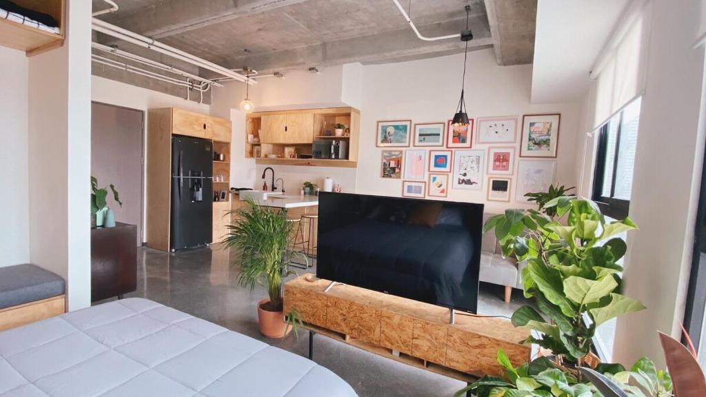 Cool studio apartment in the heart of Monterrey - 2