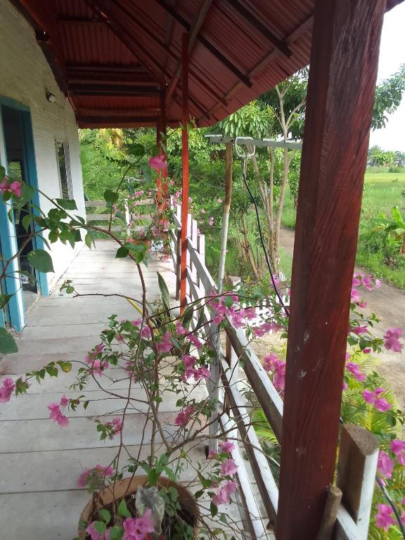 Apart Cabaña KTIK - 5