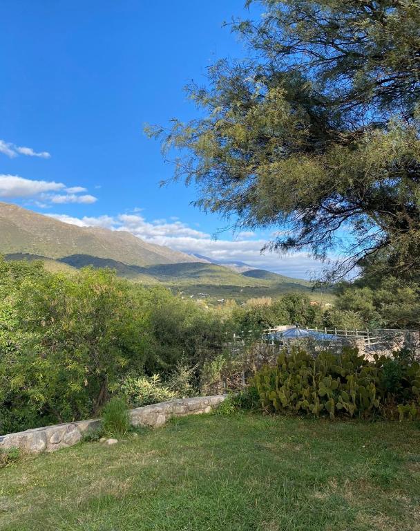 DonPedro - 3