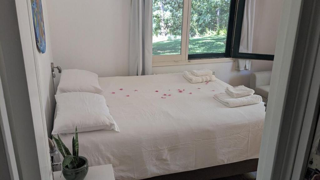 PURA VIDA - Amazing Villa with 4 bedrooms for up to 11 guests close to beach - 3
