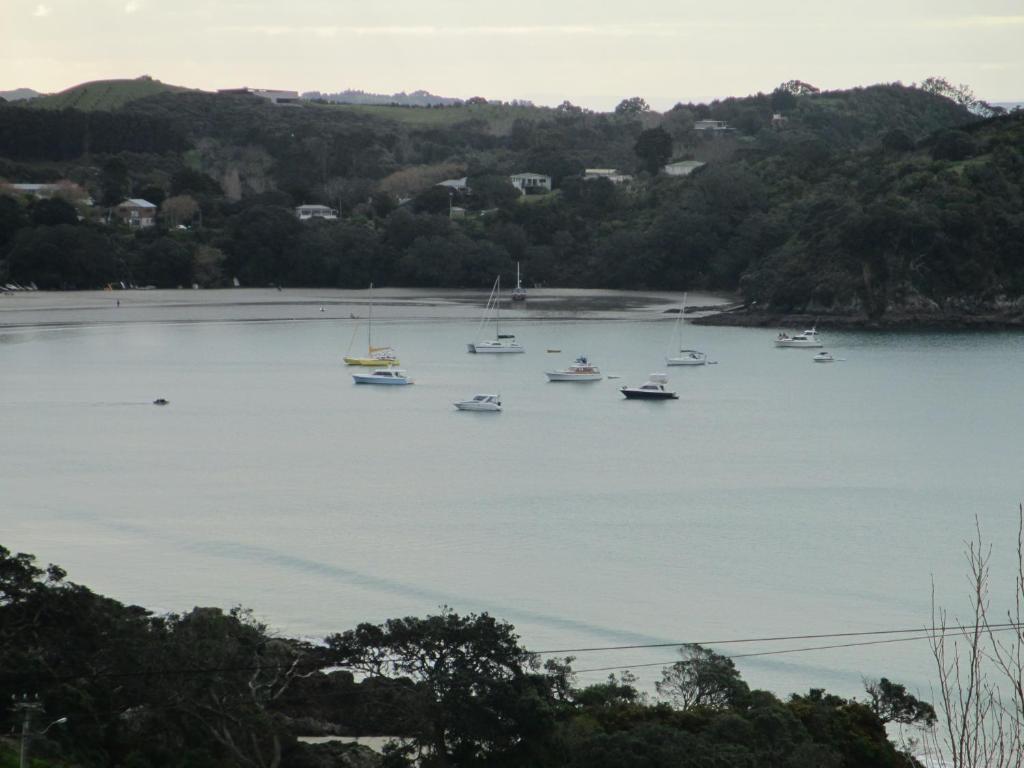 View
