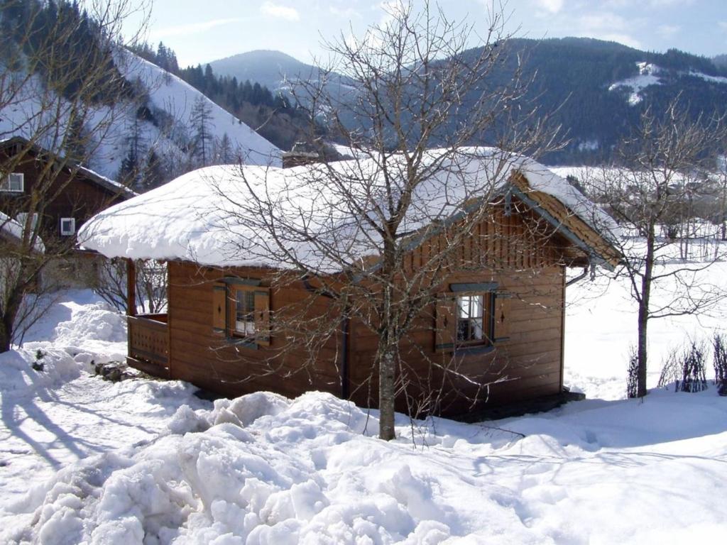 Zirbenhütte - 1
