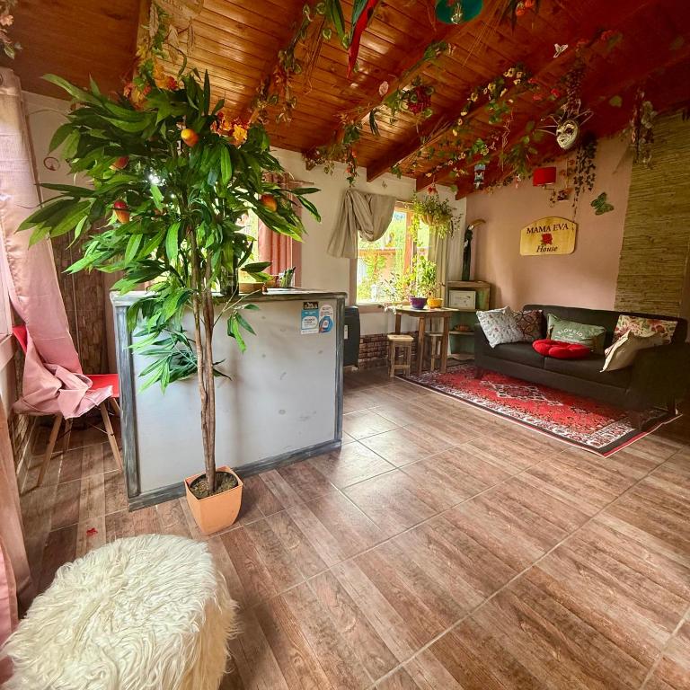 Mama Eva House - 4