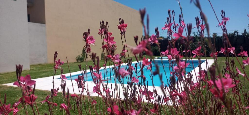 Casa quinta Chivilcoy - 5