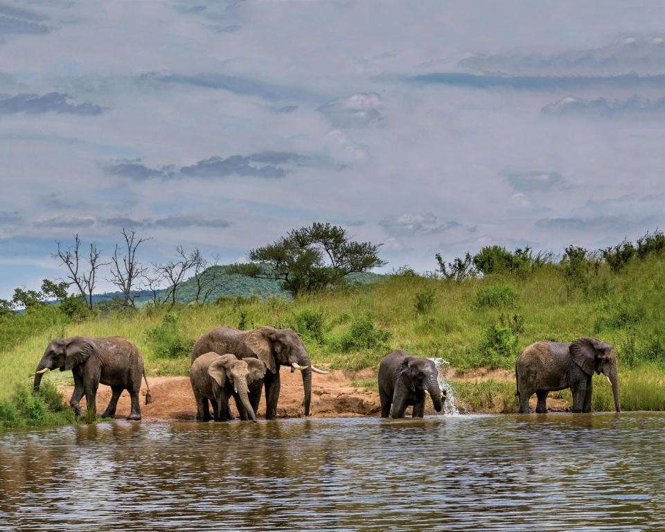 アクティビティ