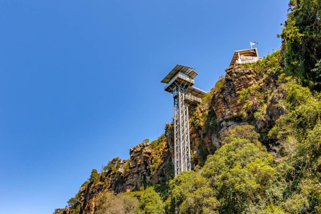 アクティビティ