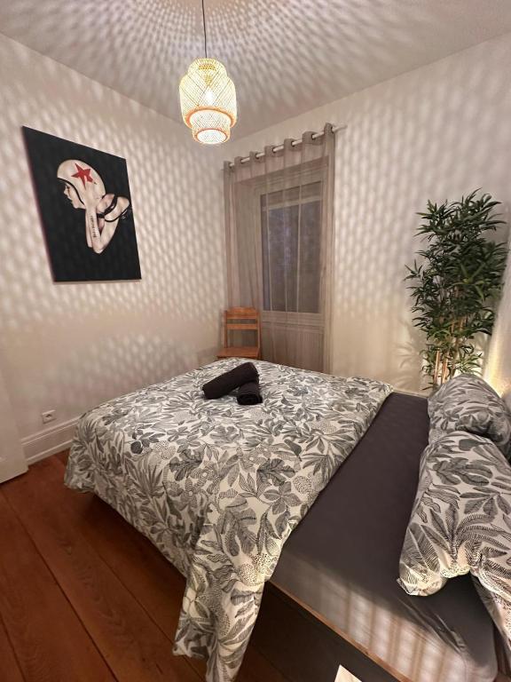 Appartement RDC F3 centre ville - 4