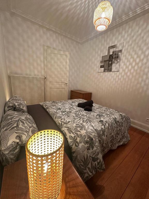 Appartement RDC F3 centre ville - 5