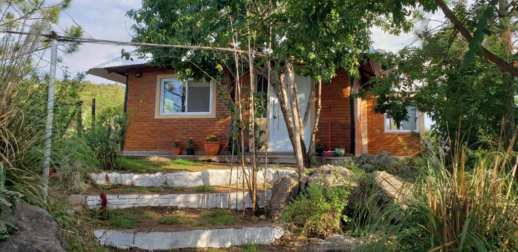 Cabaña de montaña - 5