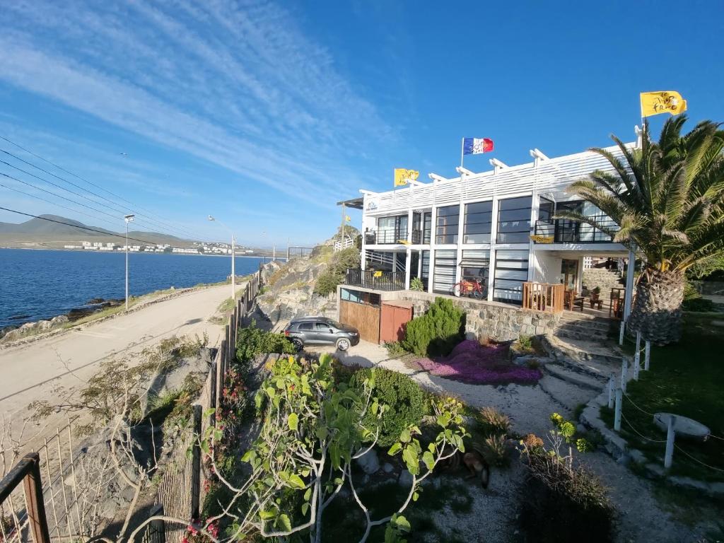 Pedal Paradise Tongoy - 3