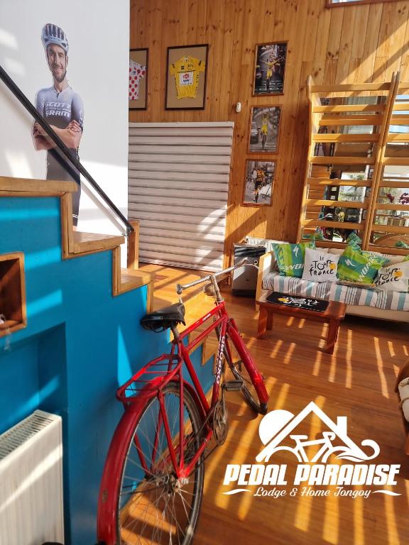 Pedal Paradise Tongoy - 5