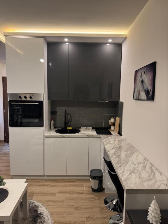 Residence Hill Kopaonik - 4