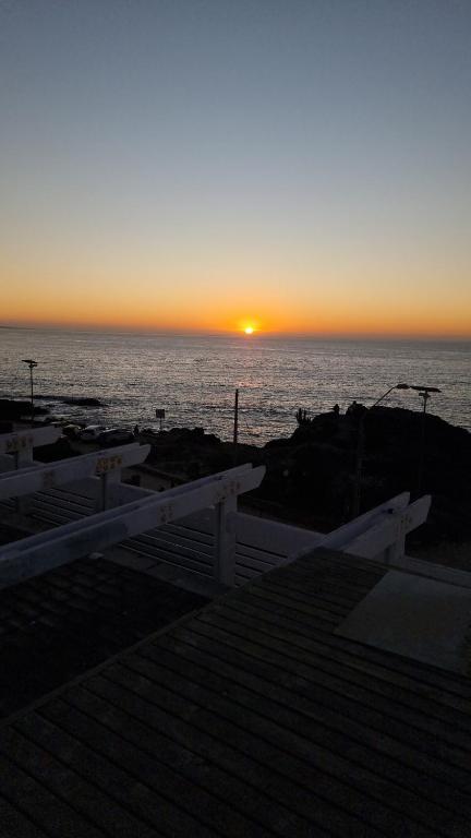 Pedal Paradise Tongoy - 3