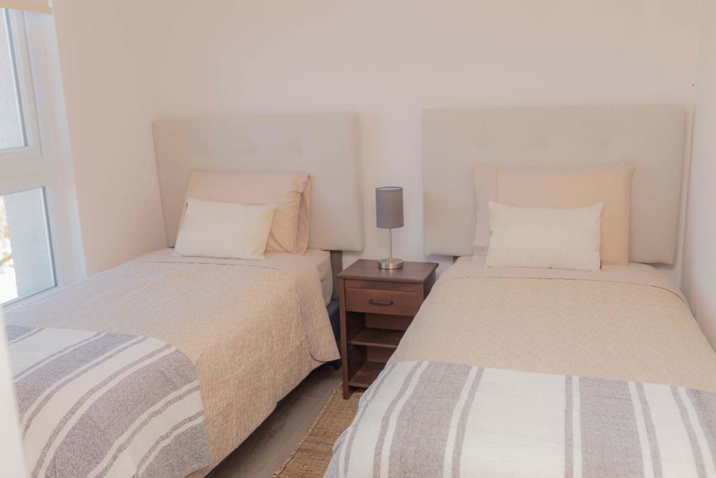 Espectacular departamento nuevo, ejecutivo y calido - 2