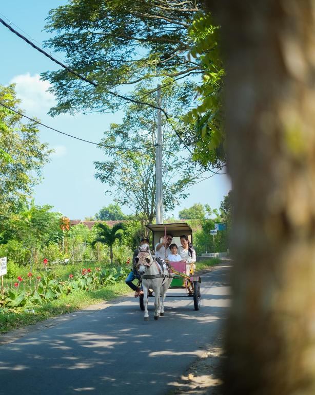 アクティビティ