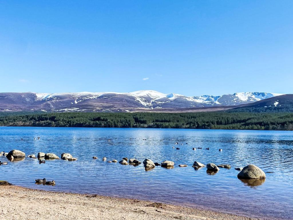 Falcon Lodge, Aviemore photo 7