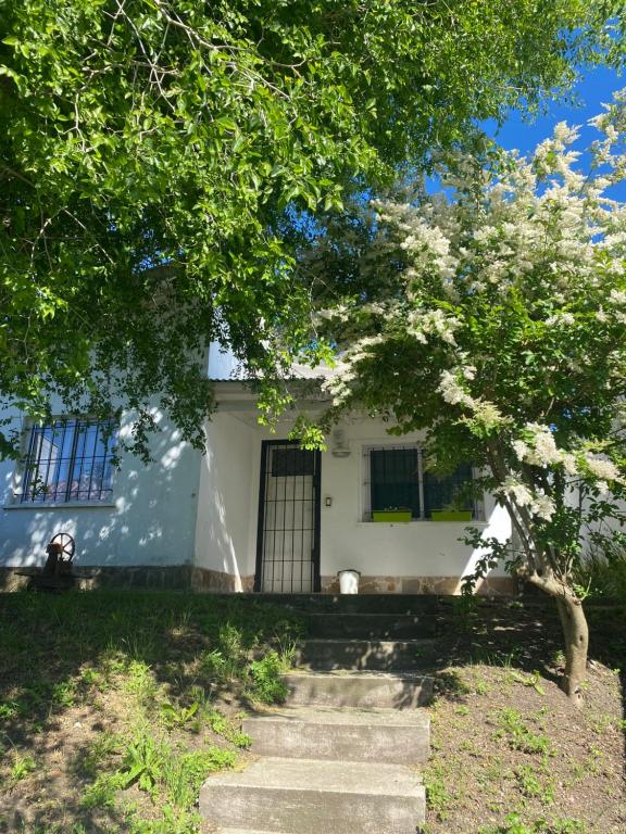 Casa Carmela - 4