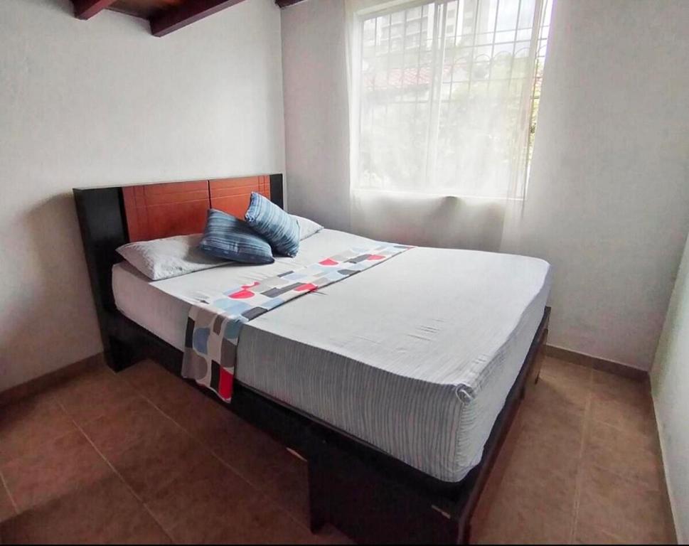 Casa Azul - 4