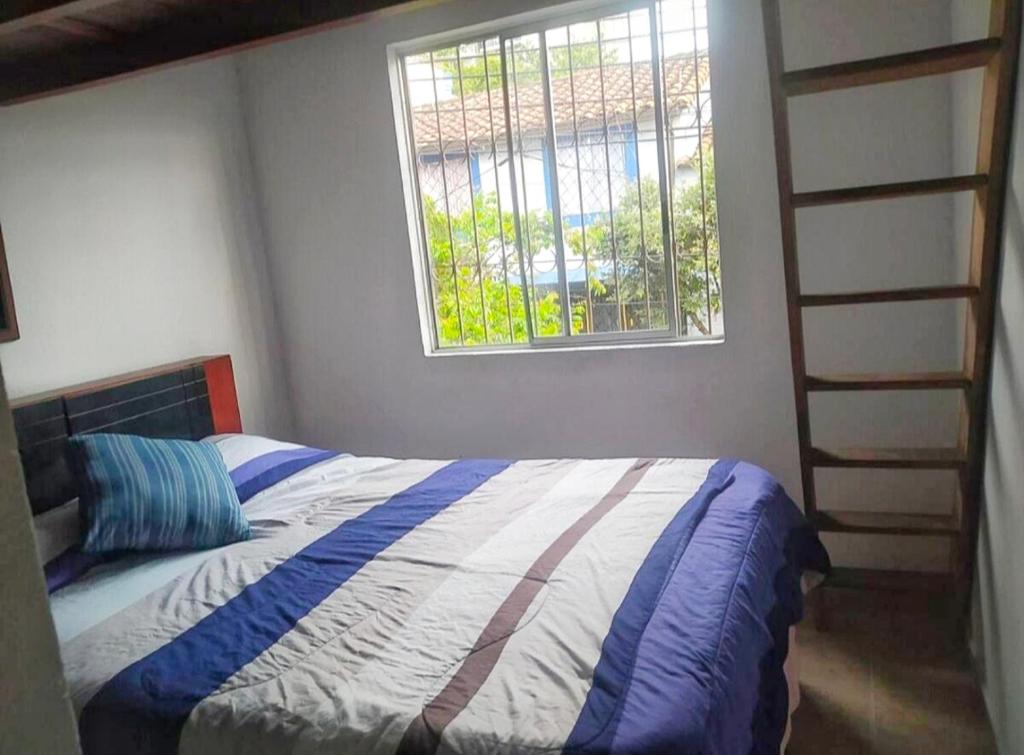 Casa Azul - 5