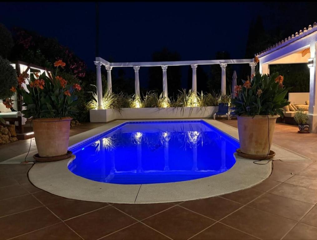 Unique Villa Calahonda - 4
