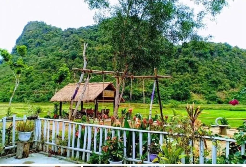 Phong Nha Rice Field Homestay