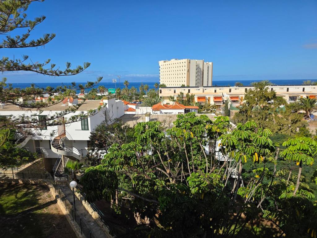 Apartment Jacaranda 2 by sea and beach, pool, very central, dishwasher, Wifi, fantastic seaview - 1