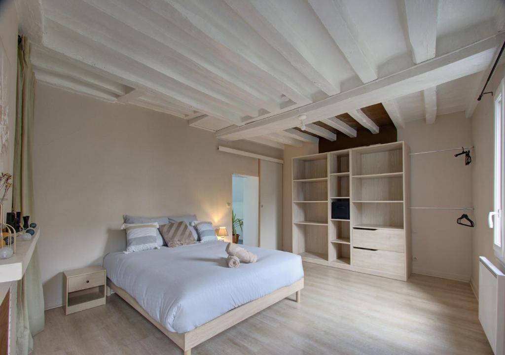 Cozy T2 - Quartier de Nantilly - Saumur - 4