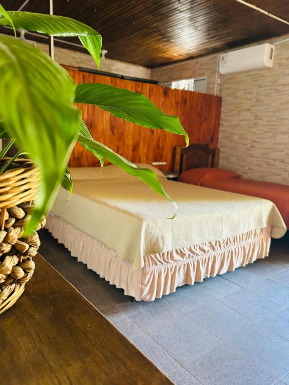 Casa huésped - 1
