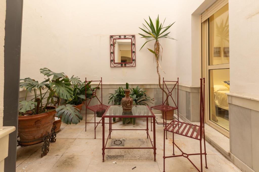 Fuente de Plata, Apartment and patios, step-free, historical center - 4