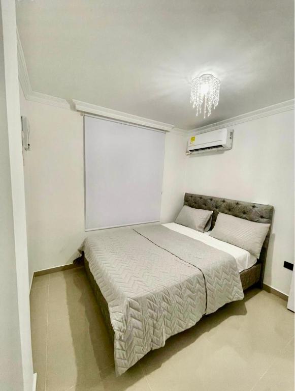 Apartment in Barranquilla - 4