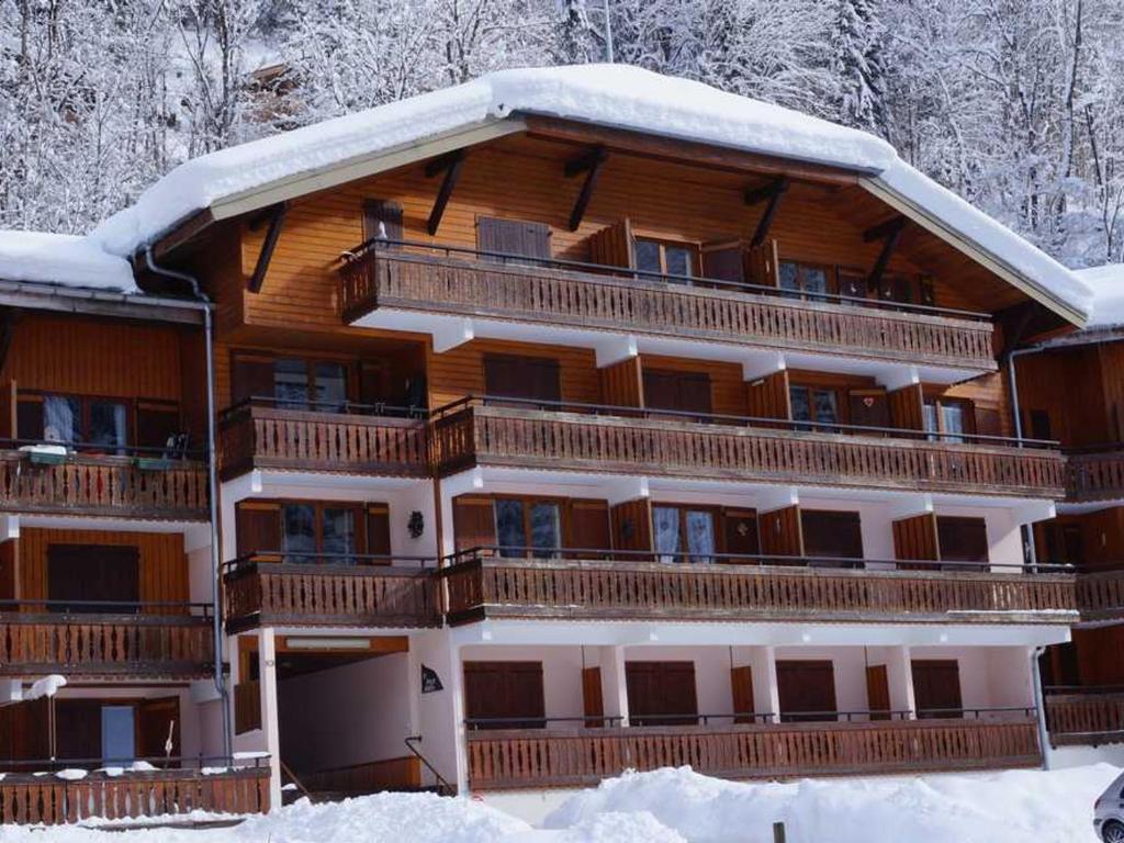 Appartement 4-6 pers au pied des pistes Morzine, animaux admis, parking - FR-1-754-28 - 3