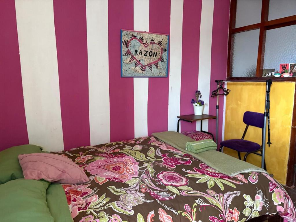 super cute affordable mini apt, san Blas - 5