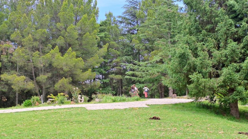 Tù Casa de Campo Petit Hotel Potrero de los Funes a 30min - 2