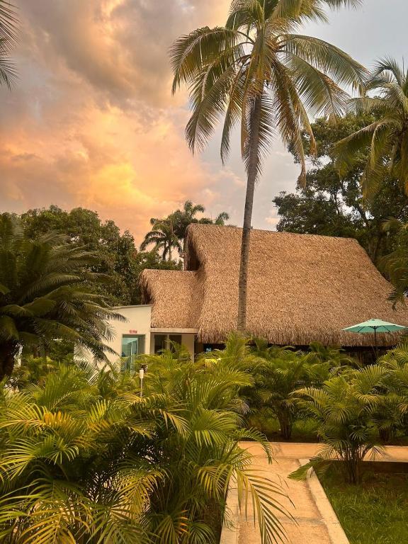 Hotel Palma Real Resort - 4