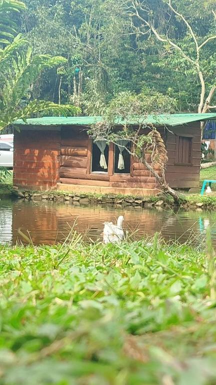 Sapiens house "cabaña del lago" - 1