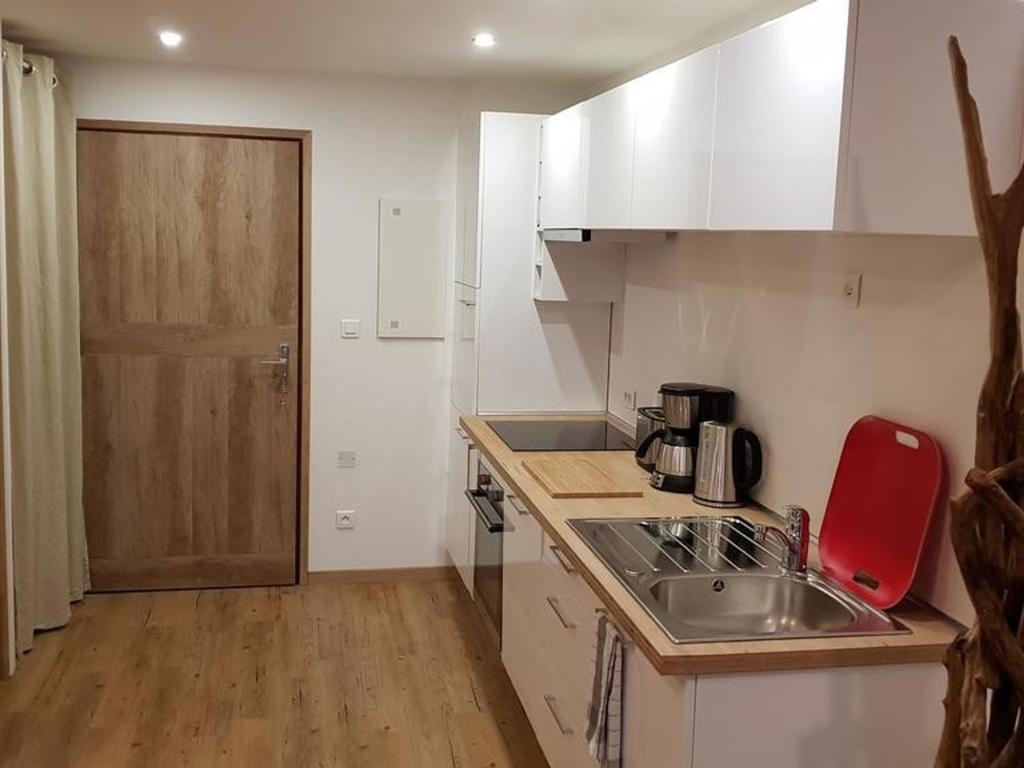 Appartement moderne en centre-ville avec parking et animaux admis - 6 pers. - FR-1-836-49 - 2