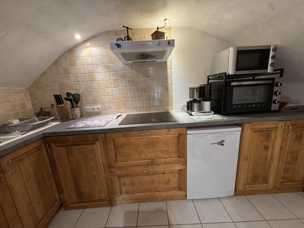 Appartement de charme dans chalet rénové - Animaux et parking - FR-1-836-54 - 2