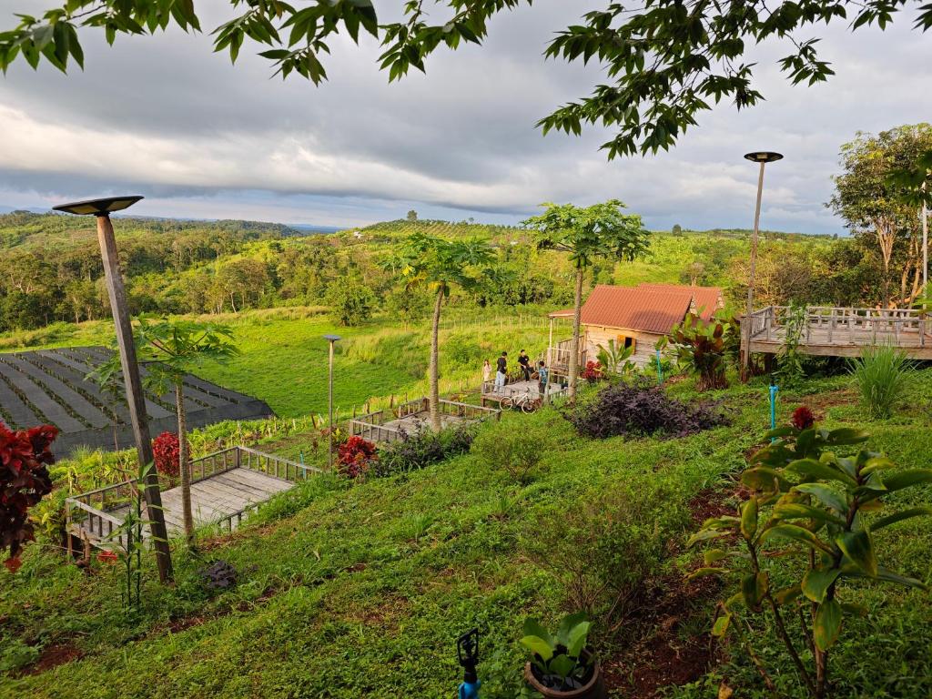 Natural House Farm Stay 眺望