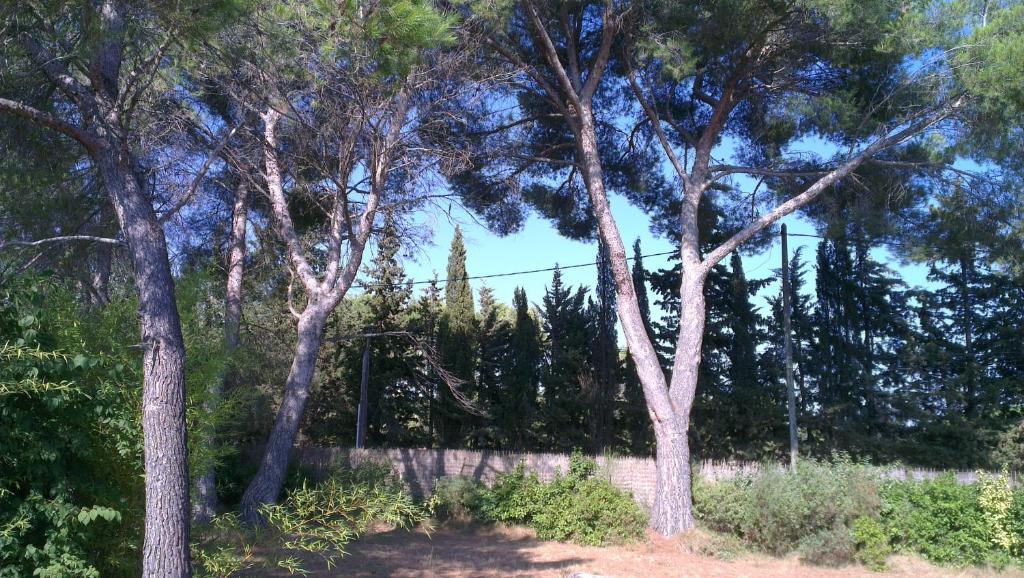 La Petite Maison Sous les Pins, Gîte Puyricard