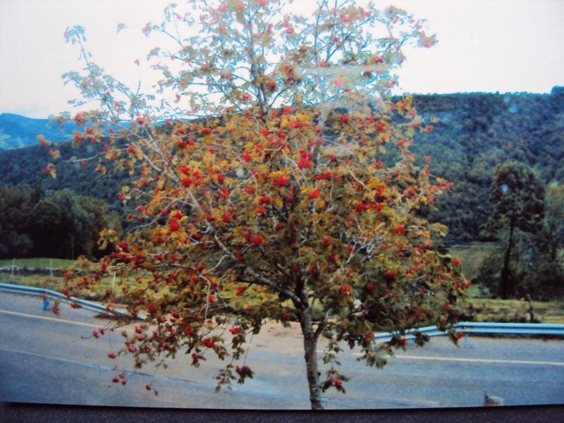 Casa de Lucas photo