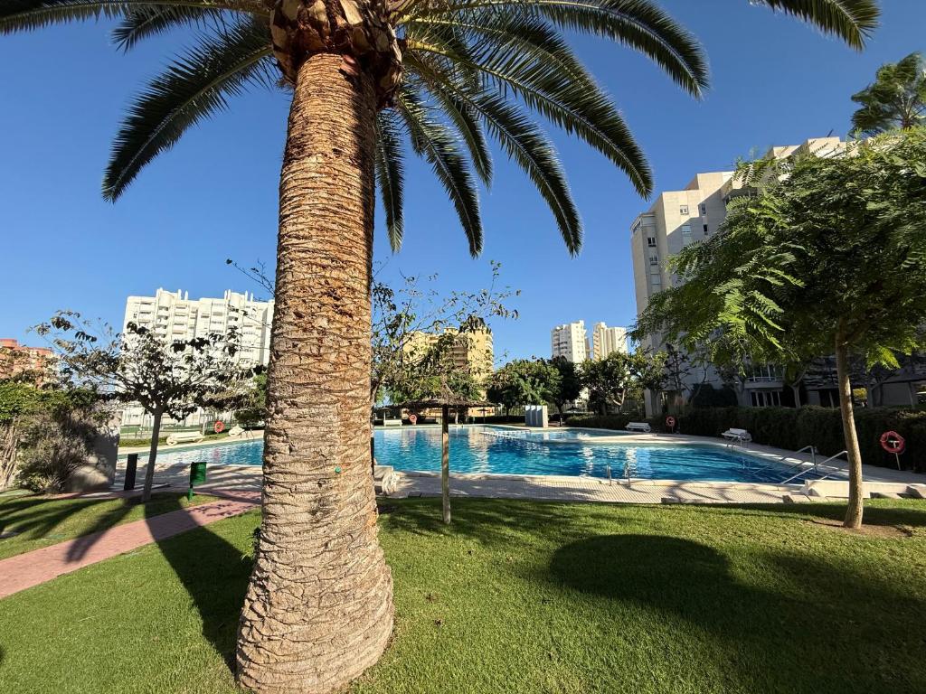 Apartamento Playa San Juan 2min piscina y terraza by Turihome - 2