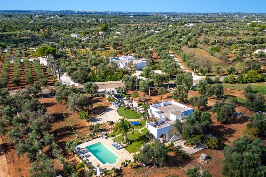 Villa Anfora by Villa Plus - 3