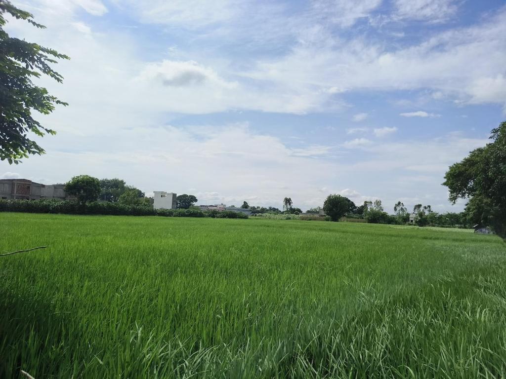 Ảnh 4