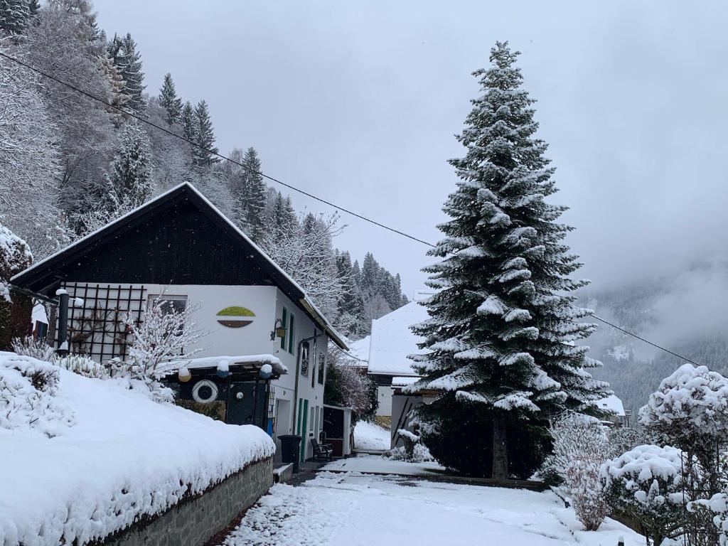 Haus St Peter , midden in meren gebied van Karinthië - 1