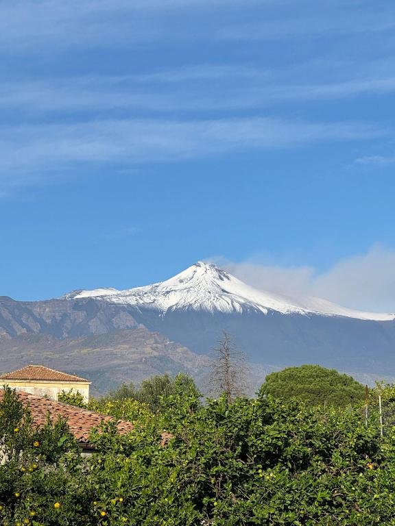 Casa e Cori - 5