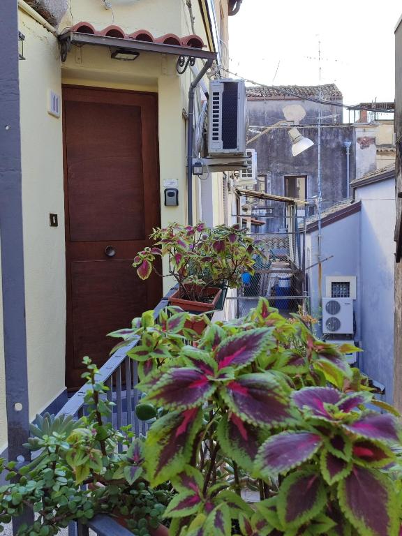 Cortile agatina11 - 5