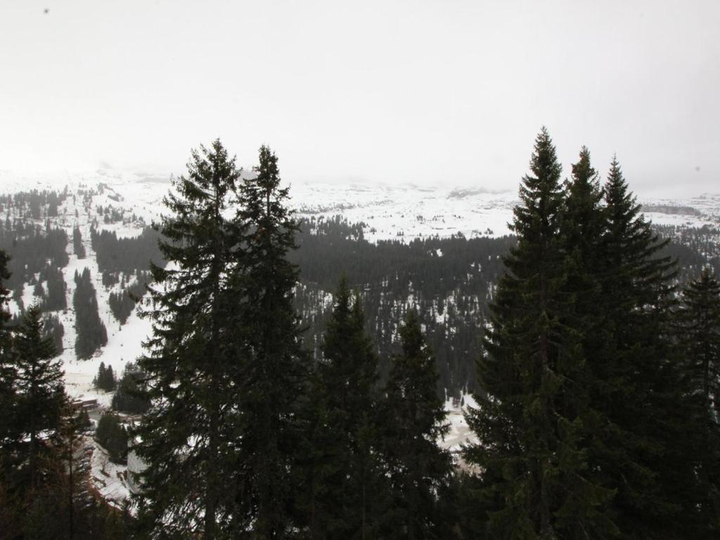 Studio lumineux avec balcon et vue sur pistes, animaux admis - FR-1-687-61 - 4