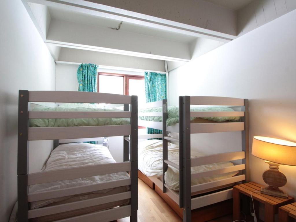 Grand appartement 9 pers, près des pistes, animaux admis - FR-1-687-86 - 2