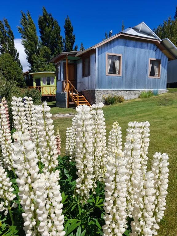 El Neneo Cabañas - 2