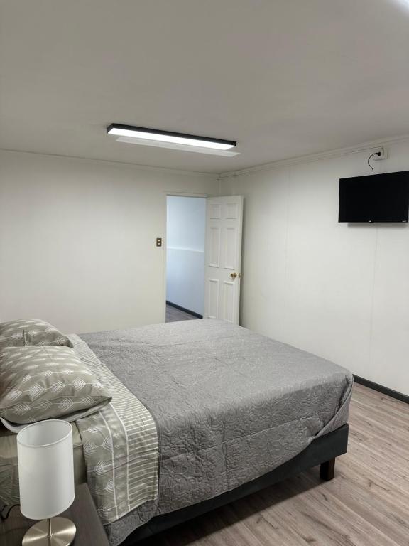 Angol Suite - 4